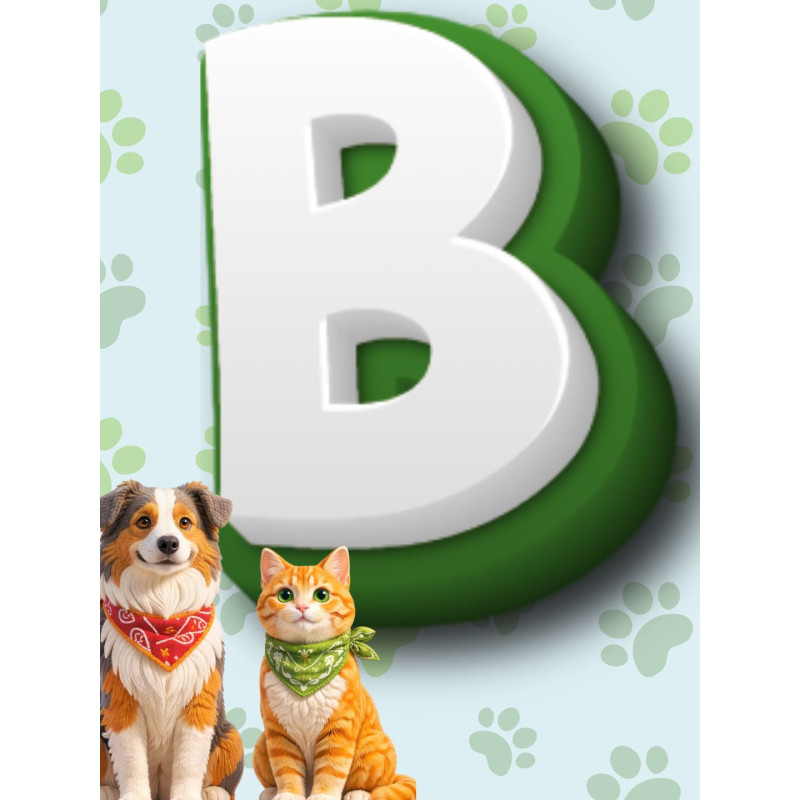 Categoria B