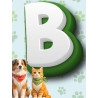 Categoria B