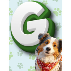 Previsora Categoria G