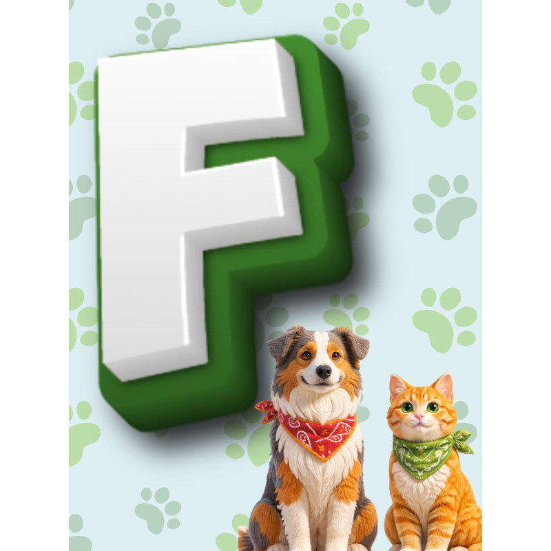 Categoria F