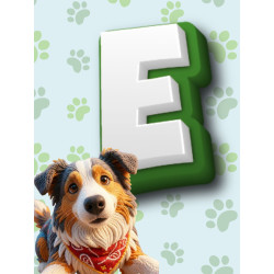 Previsora categoria E