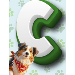 Previsora categoria C