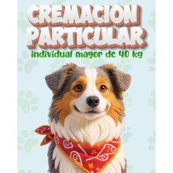 Cremación particular, individual mayor a 40 kg